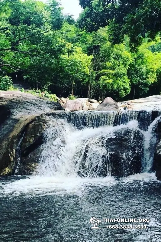 Альпака Парк экскурсия в Паттайе, однодневная тур программа Земля Королей и Альпака-Парк в Тайланде с компанией Seven Countries - фото 25