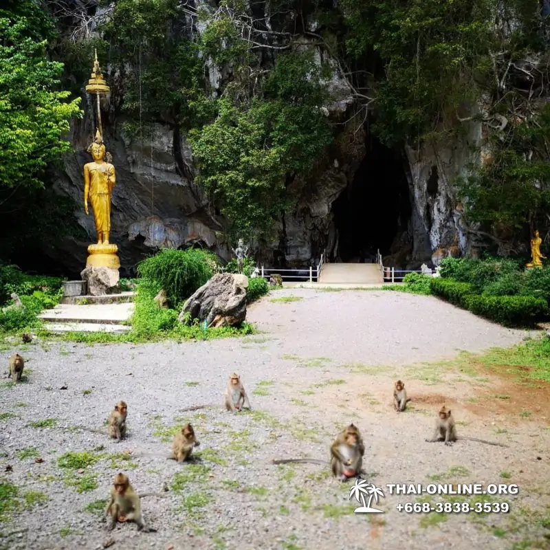 Однодневная экскурсия Затерянный Мир с турагентством Seven Countries из Паттайи в два национальных парка Тайланда - фото 17