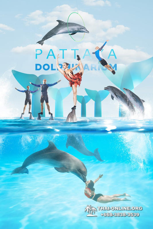 Дельфинарий Pattaya Dolphinarium экскурсия Seven Countries в Паттайе фото 33