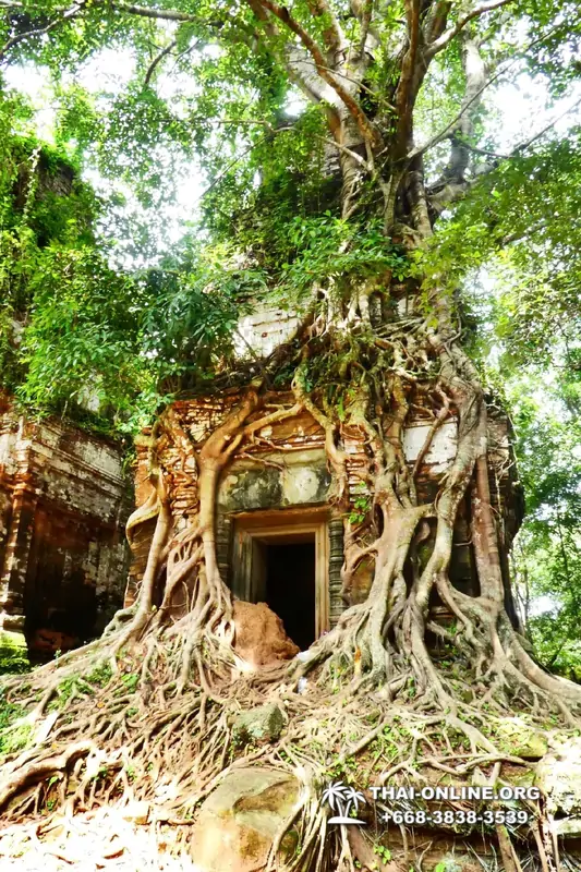 Ангкор и Кох Кер экскурсия из Паттайя - фото Тай Онлайн Орг 23
