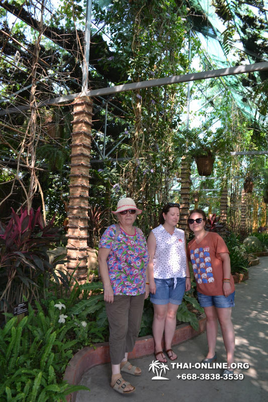 Тропический сад Нонг Нуч с обедом и шоу змей экскурсия в Паттайе фото 7