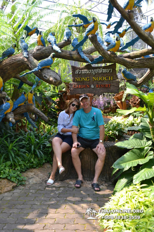 Тропический сад Нонг Нуч с обедом и шоу змей экскурсия в Паттайе фото 10