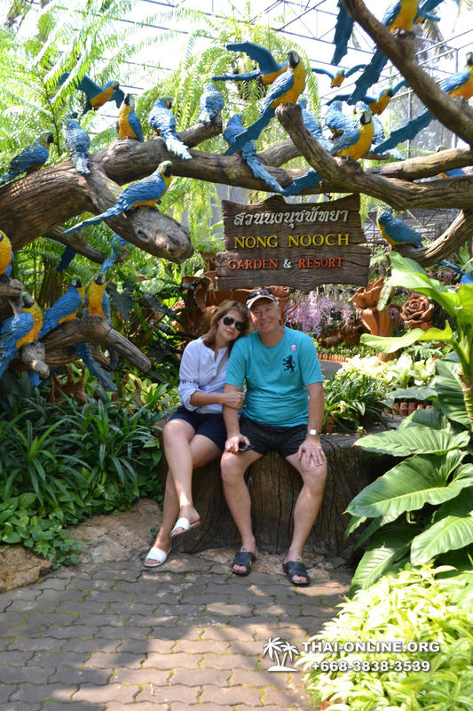 Тропический сад Нонг Нуч с обедом и шоу змей экскурсия в Паттайе фото 11