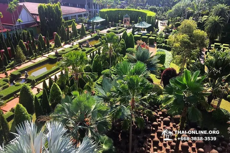 Тропический сад Нонг Нуч экскурсия в Паттайе фото 28