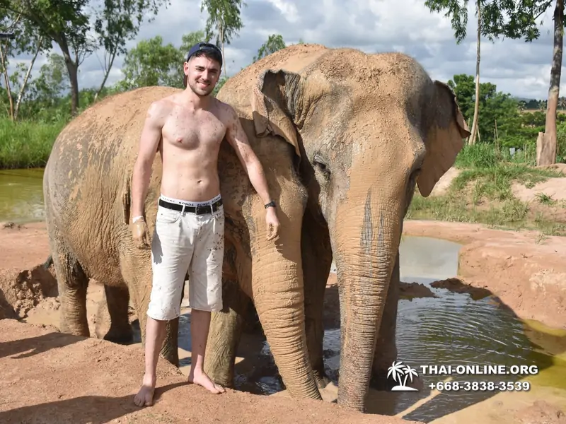 Заповедник слонов Elephant Jungle Sanctuary тур в Паттайе по цене выгоднее Klook Travel и Seven Countries - фото 16