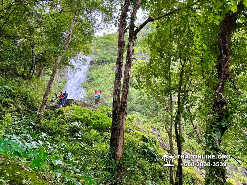 Экскурсия Кхао Яй Чудесный Край с туристической компанией Seven Countries на водопады с трекингом по джунглям, выполняется из Паттайи Таиланд - фото 30