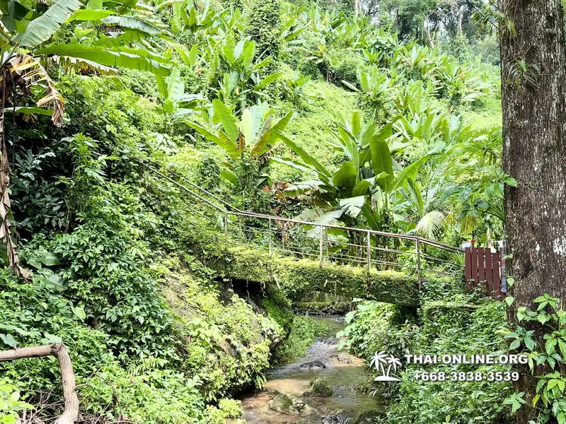 Экскурсия Кхао Яй Чудесный Край с туристической компанией Seven Countries на водопады с трекингом по джунглям, выполняется из Паттайи Таиланд - фото 28