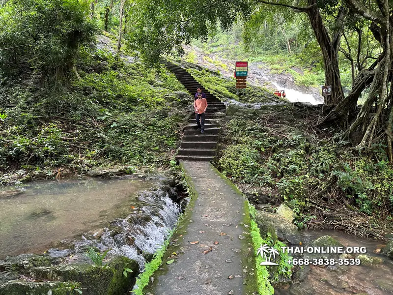 Экскурсия Кхао Яй Чудесный Край с туристической компанией Seven Countries на водопады с трекингом по джунглям, выполняется из Паттайи Таиланд - фото 15