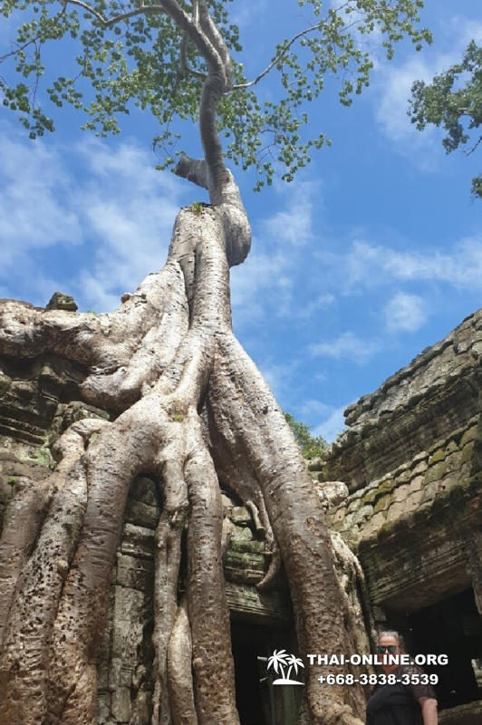 Камбоджа на 1 день из Паттайи экскурсия Seven Countries в Паттайе фото 14