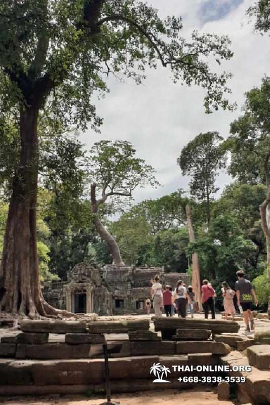 Камбоджа на 1 день из Паттайи экскурсия Seven Countries в Паттайе фото 18