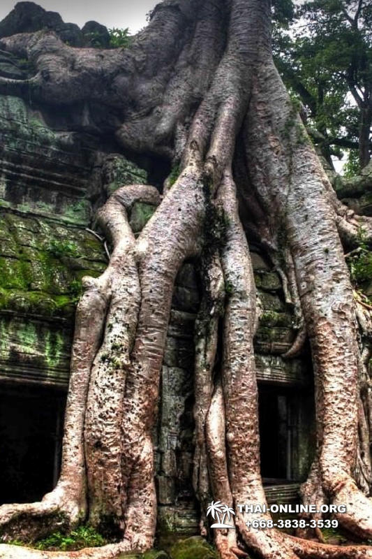 Камбоджа на 3 дня Ангкор Ват из Паттайи экскурсия Seven Countries в Паттайе фото 9