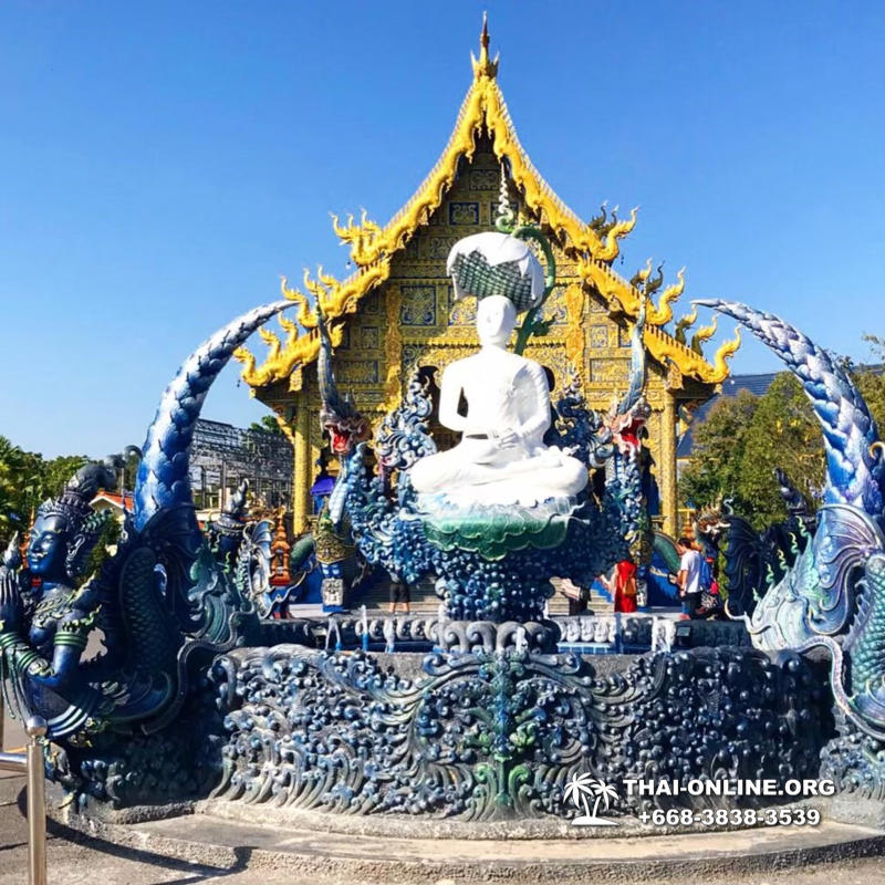 Золотой Треугольник и Чианг Рай двухдневная экскурсия компании Seven Countries в Таиланде фото 23
