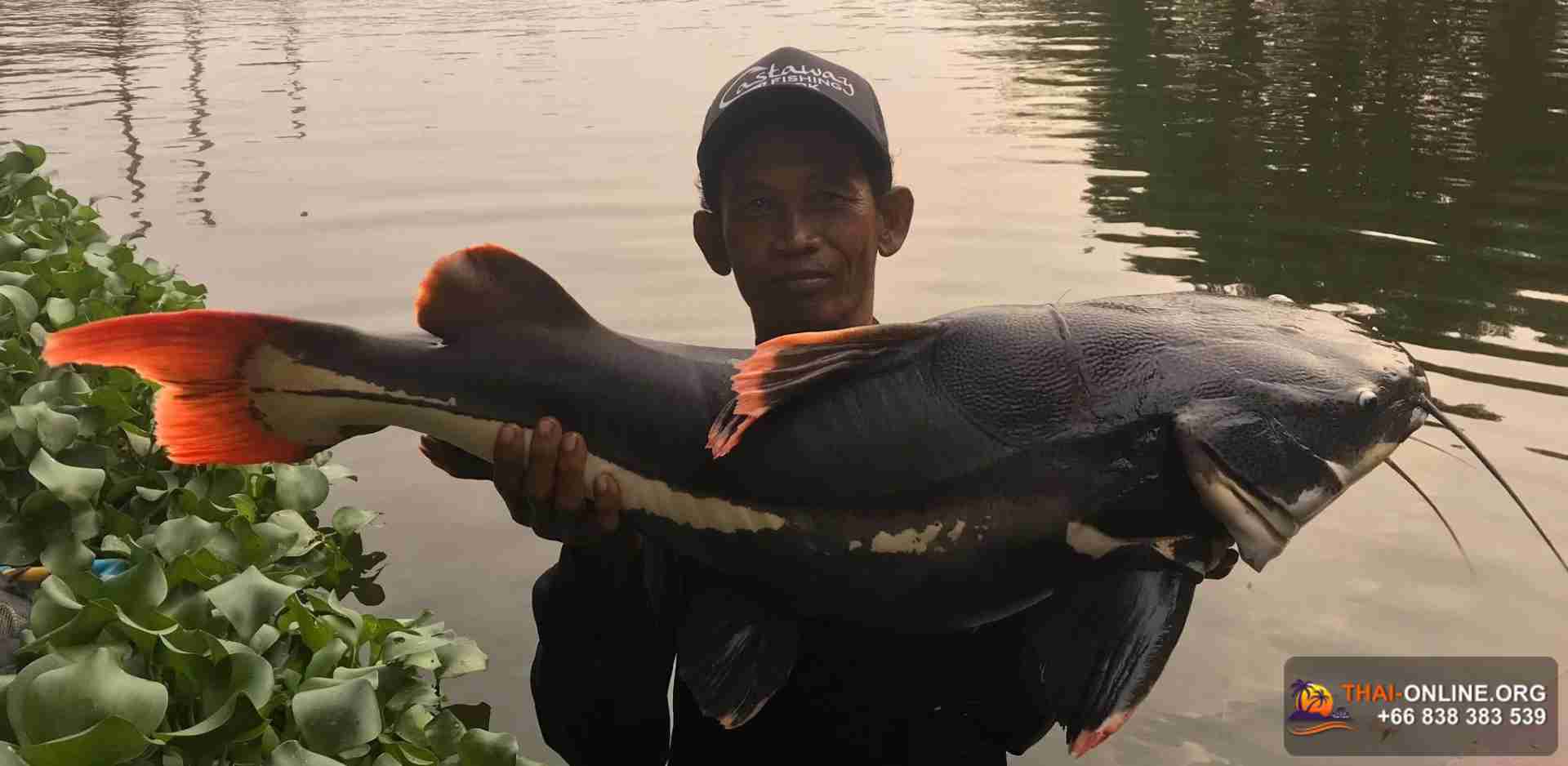 Рыболовный парк Amazon Fishing Park экскурсия компании Seven Countries из Паттайи Таиланд фото 2